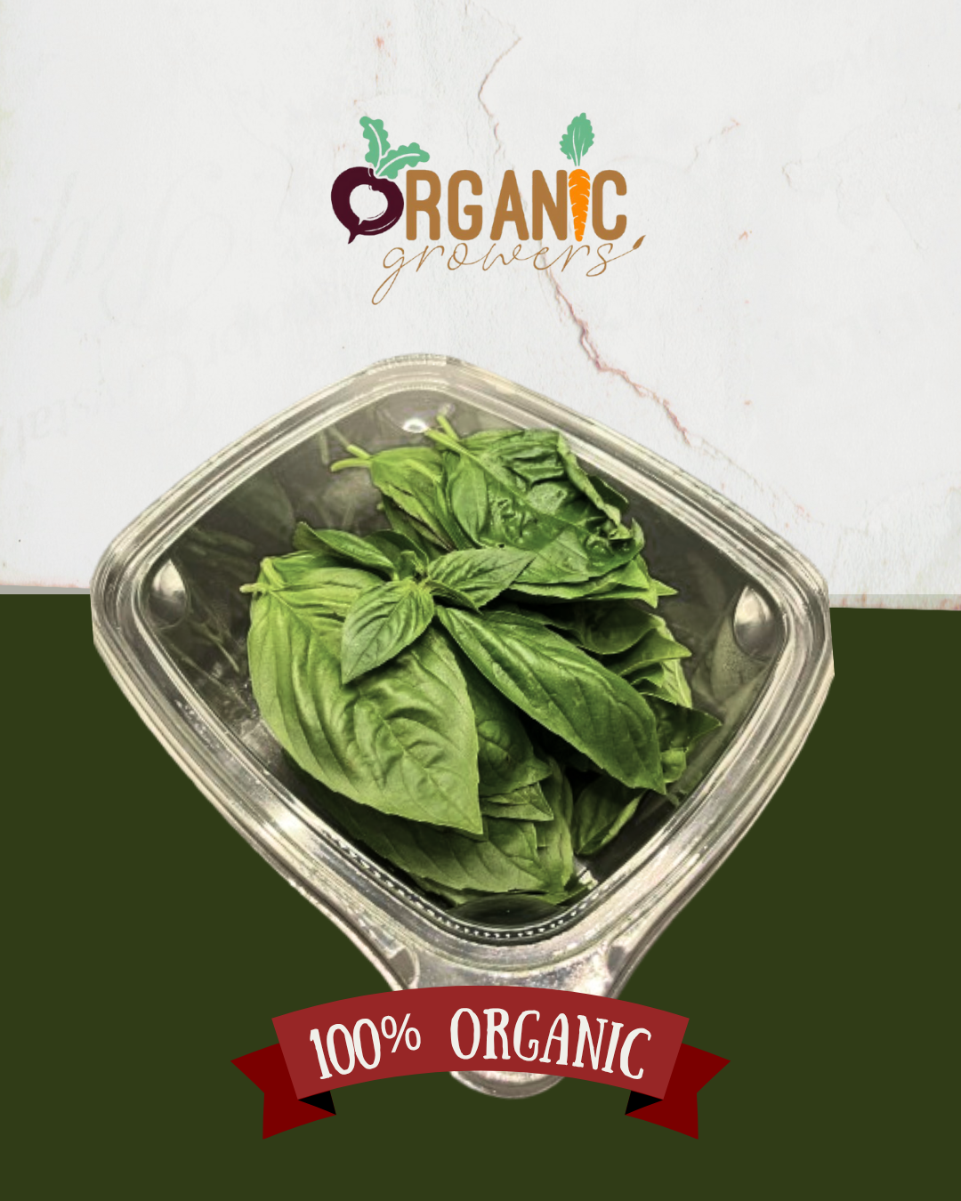 Genovese Basil Leaves