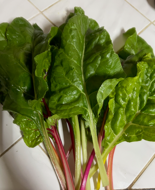 Rainbow Swiss Chard