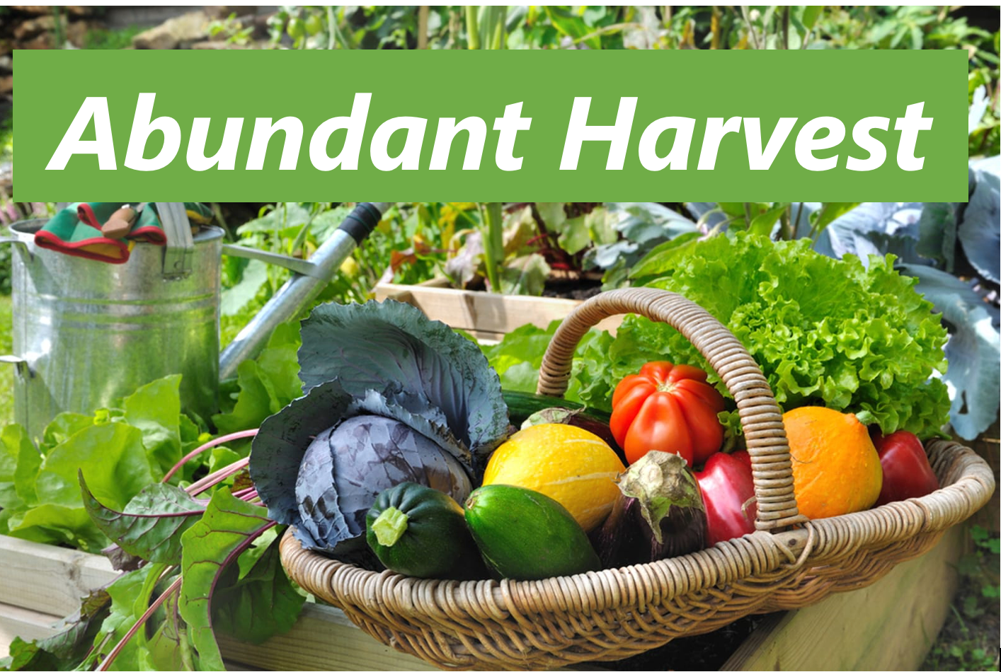 Abundant Harvest logo