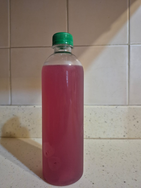 Jamun Coconut Water- 500ml