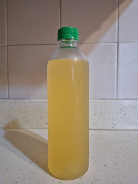 Passionfruit Coconut Water- 500 ml